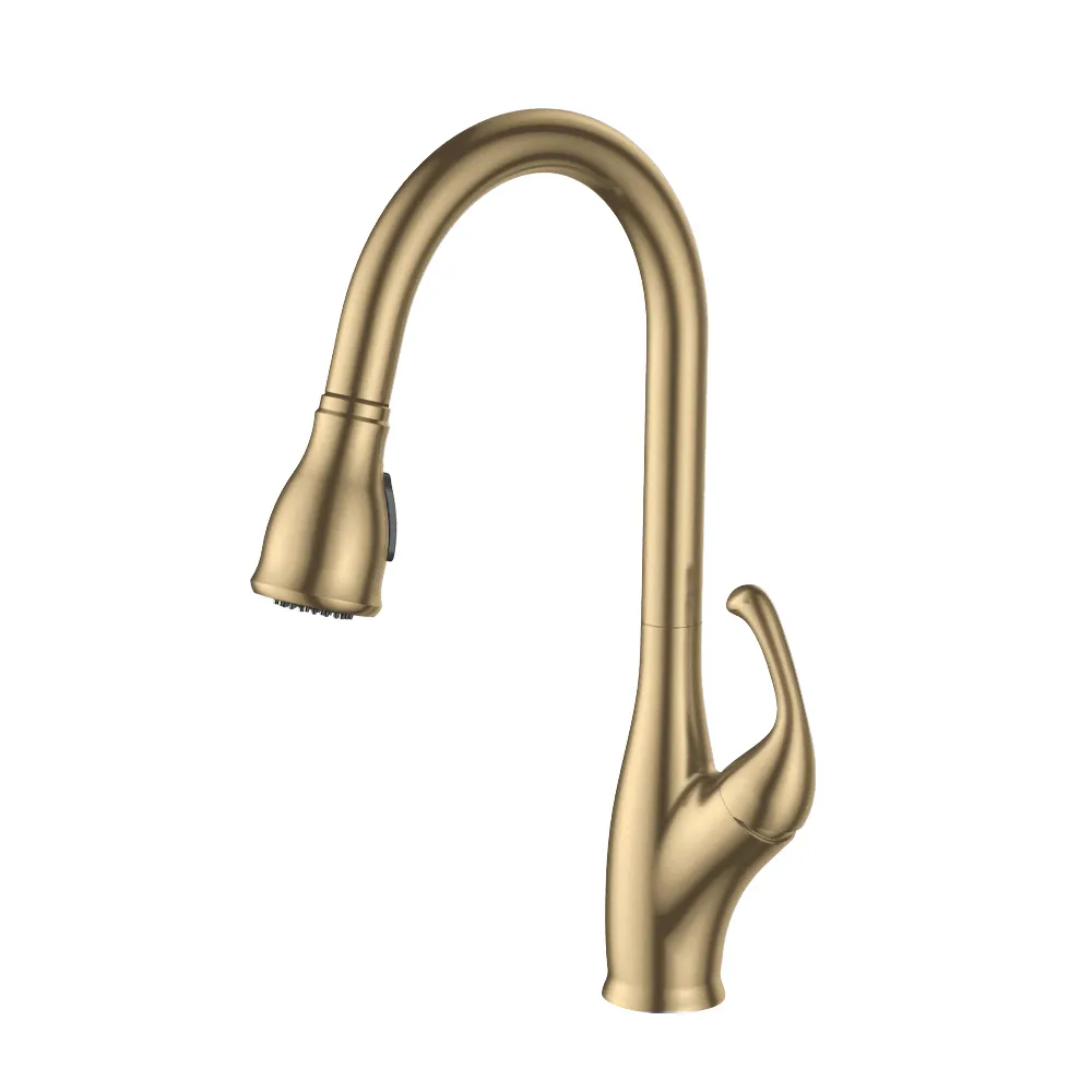 Pull-Down Kitchen Faucet (F506)