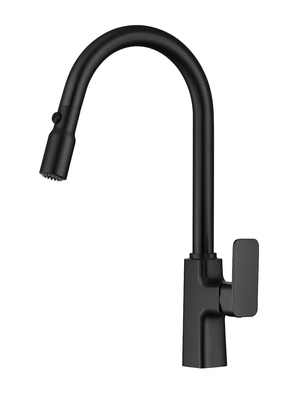 Modern Sleek Pull-Down Kitchen Faucet (T2025)