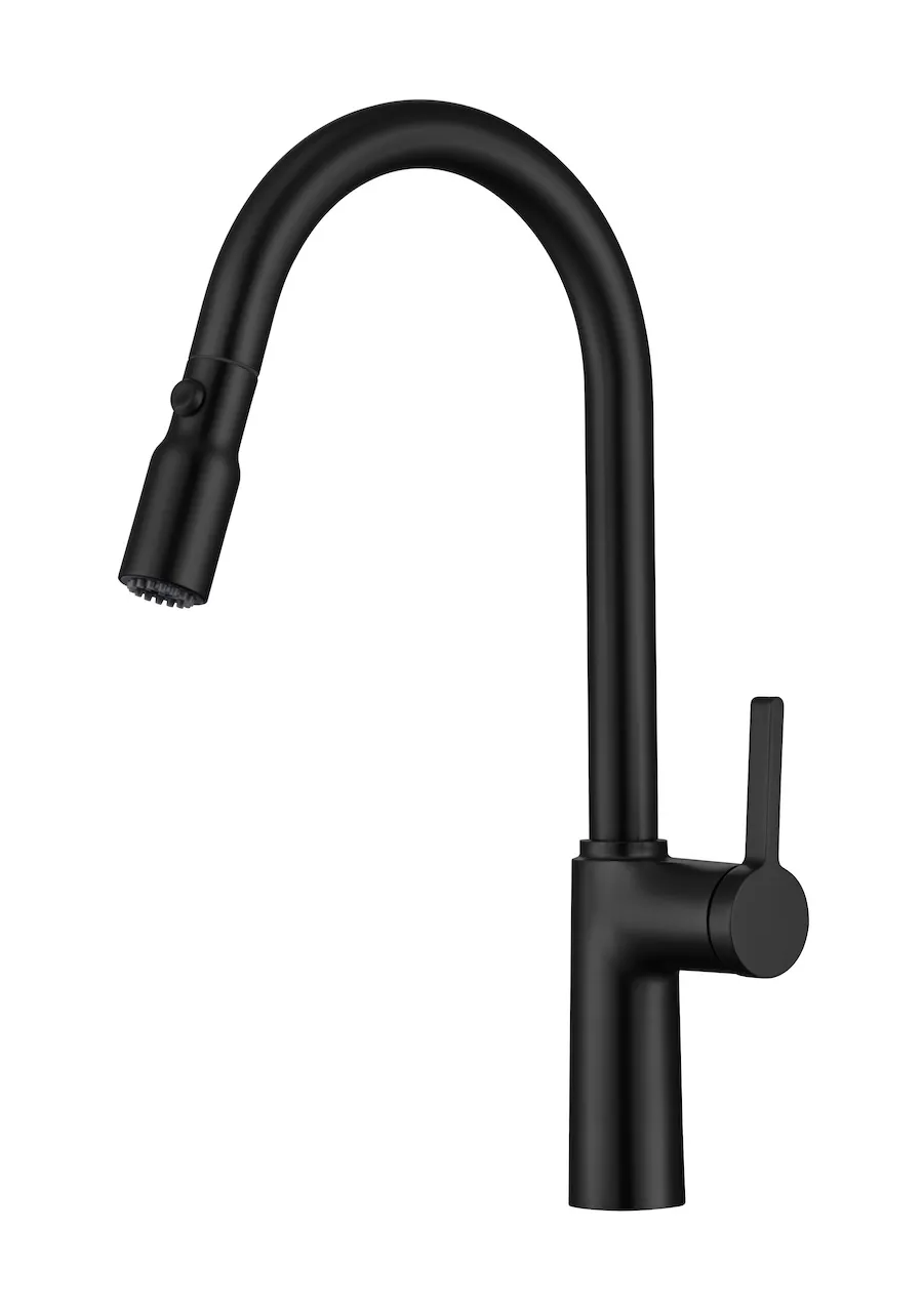 Topwes - Modern Single Handle Pull-Down Spray Faucet (T2026)