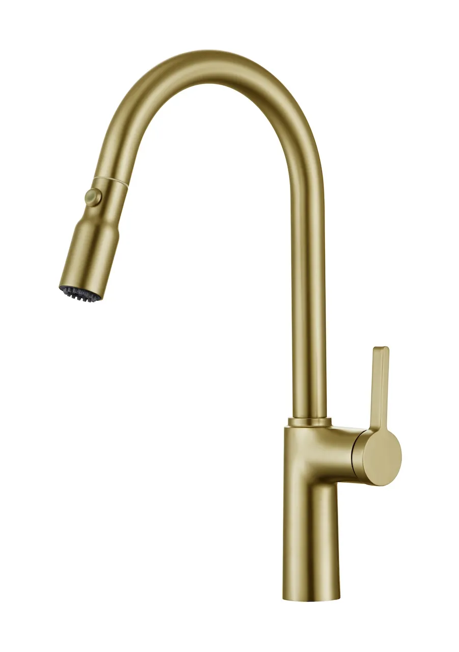 Topwes - Modern Single Handle Pull-Down Spray Faucet (T2026)