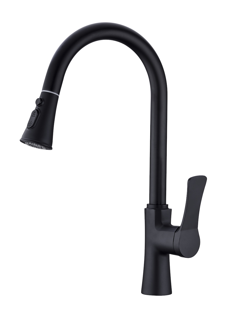 Single Handle Pull-Down Spray Faucet (T2027)