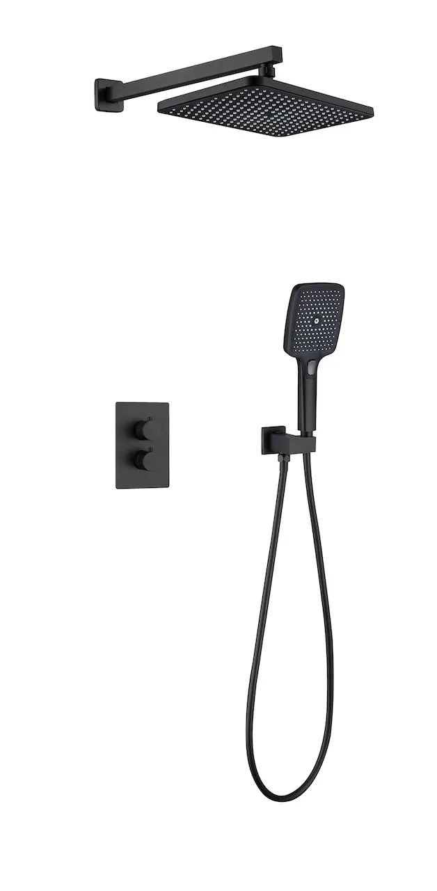 Wall-Mounted Shower System (T3009)