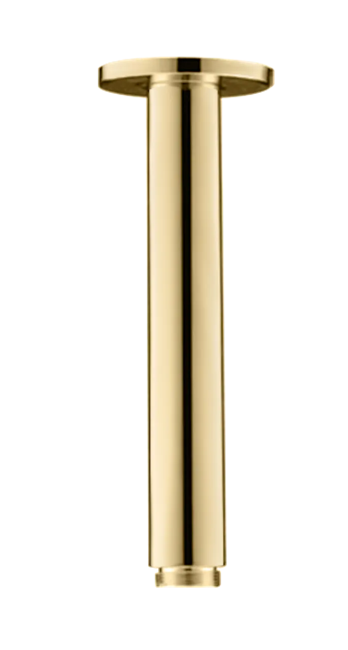 Ceiling Shower Arm (D07)