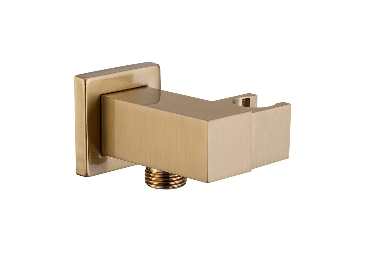Wall mount shower holder (D12)