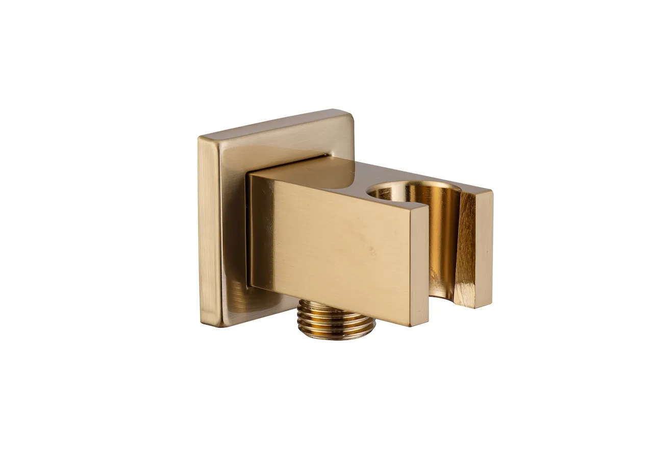 Shower holder (D14)